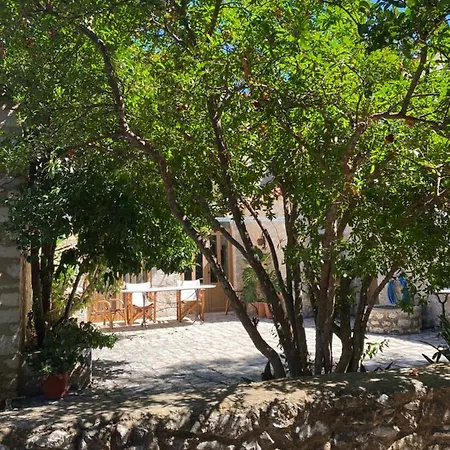 Mani Spot -cereus * アレオポリ