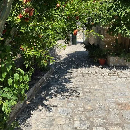 Appartamento Mani Spot -cereus