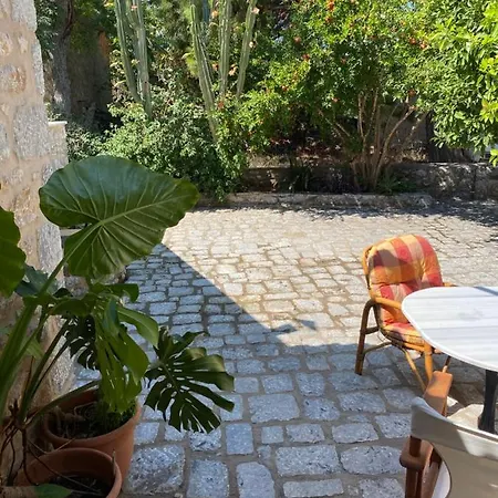 Apartment Mani Spot -cereus *