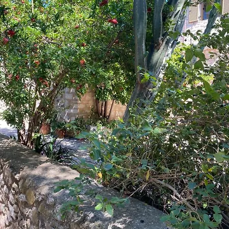 Mani Spot -cereus * Areopoli