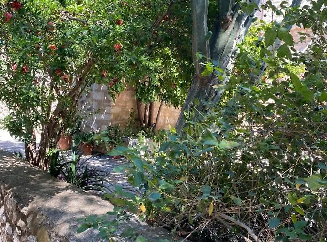 Mani Spot -cereus * Αρεόπολις