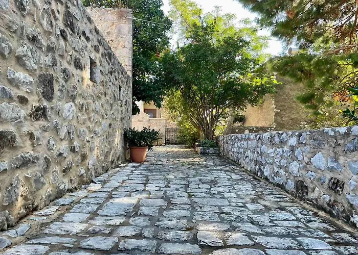 Mani Spot -cereus Ареополис